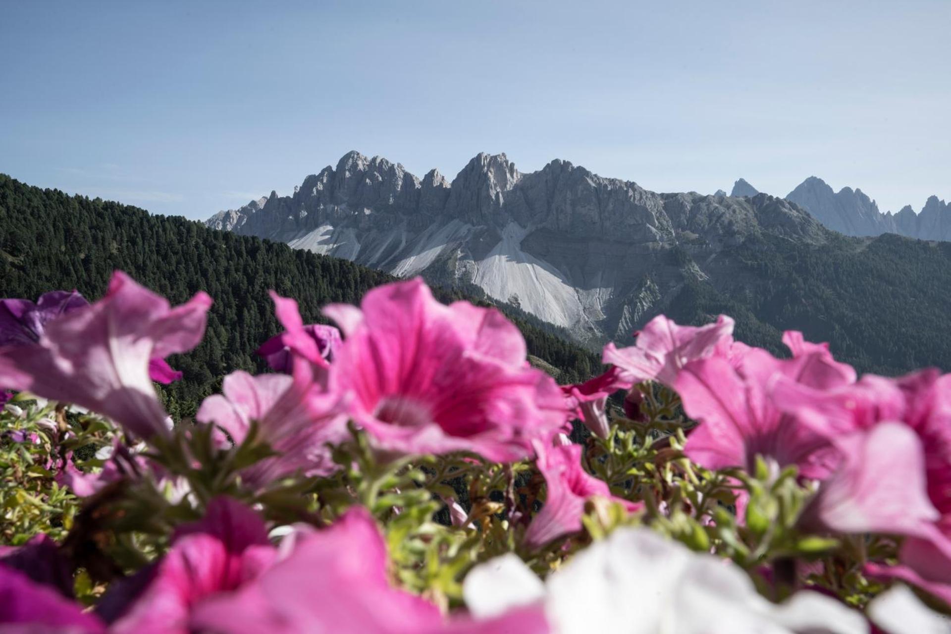 Schlemmer 3* Brixen